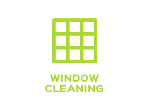 Window cleaning company service